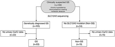 Hydrochlorothiazide Test as a Tool in the Diagnosis of Gitelman Syndrome in Chinese Patients